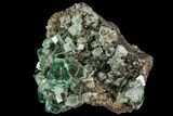 Fluorite Crystal Cluster - Rogerley Mine #106098-1